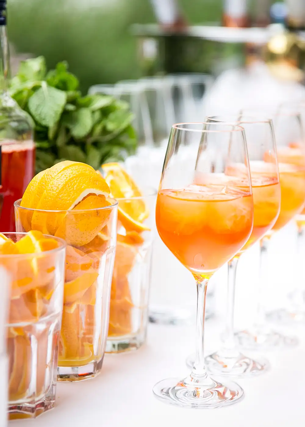Sommerfest/Veranstaltung Aperitif